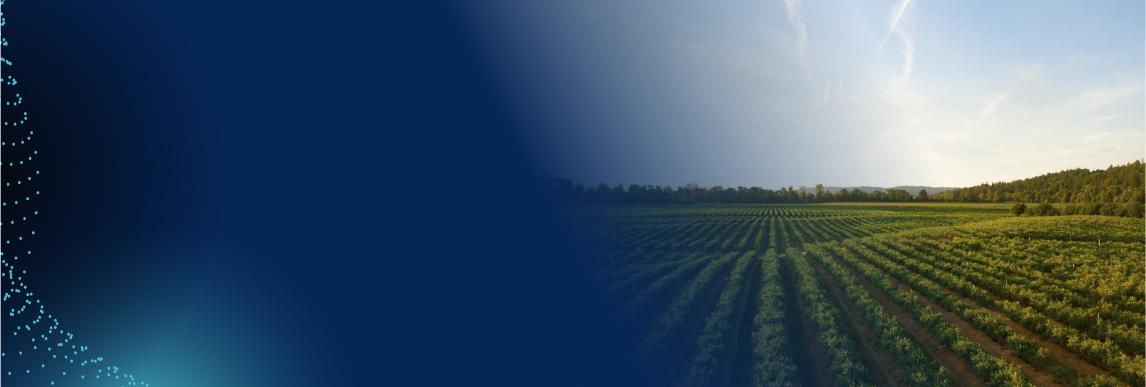 banner-solutions